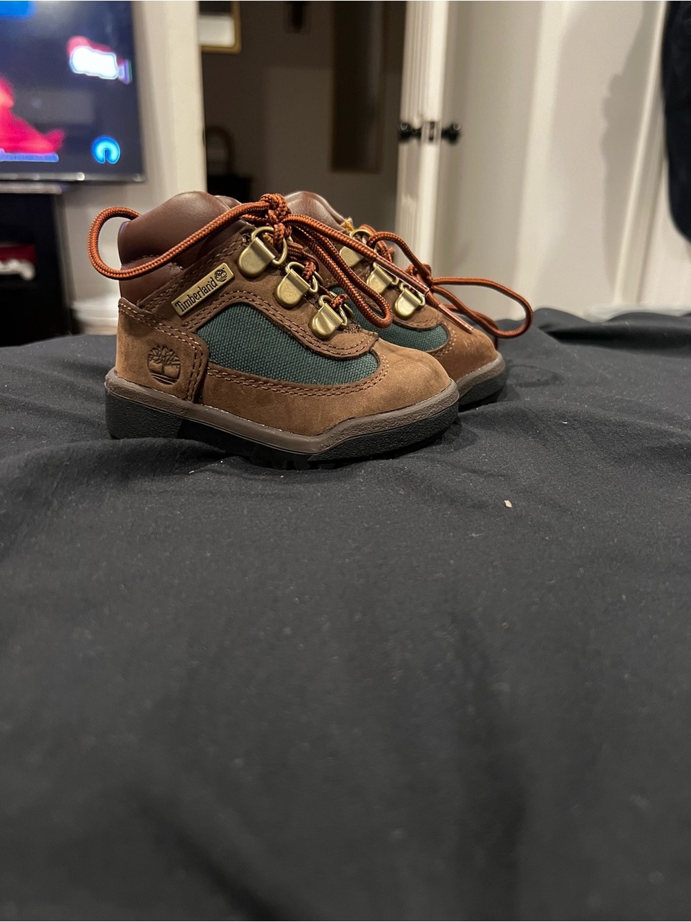 Timberland Kids Brown and Green Suede Hiking Boots